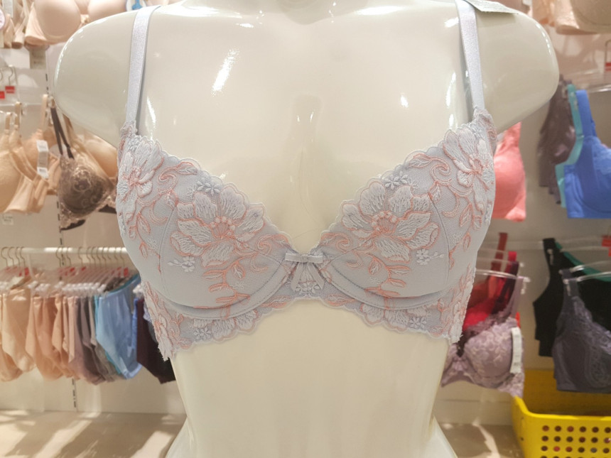 Triumph Blue B ~ D Cup Butterfly Functional Calibr