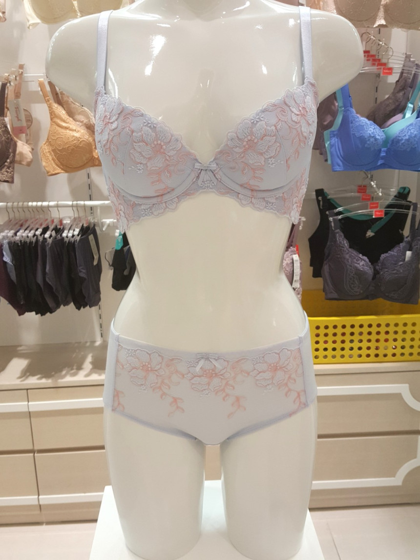 Triumph Blue B ~ D Cup Butterfly Functional Calibr