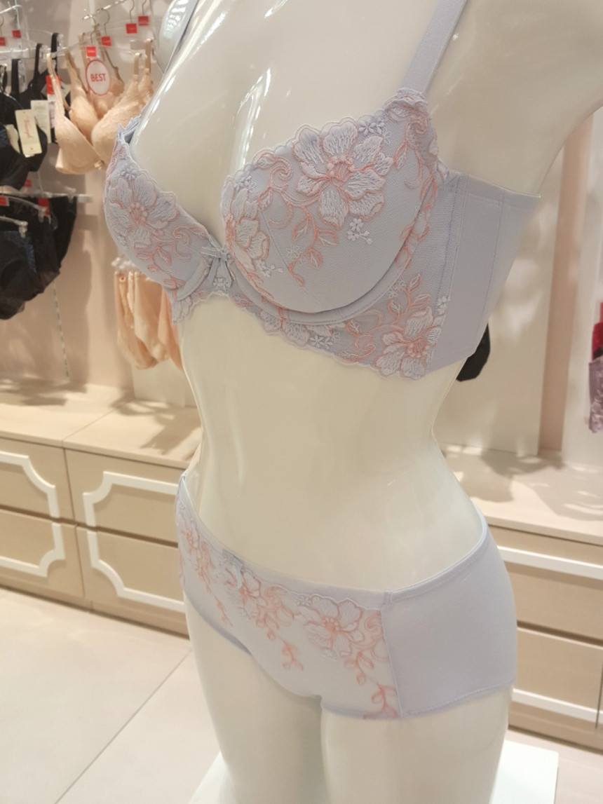 Triumph Blue B ~ D Cup Butterfly Functional Calibr
