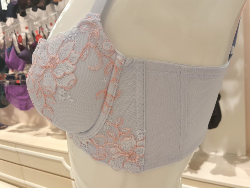 Triumph Blue B ~ D Cup Butterfly Functional Calibr