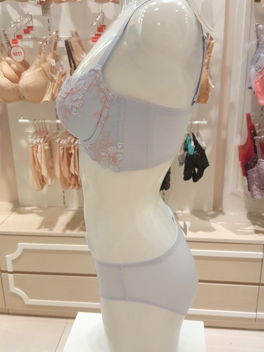 Triumph Blue B ~ D Cup Butterfly Functional Calibr