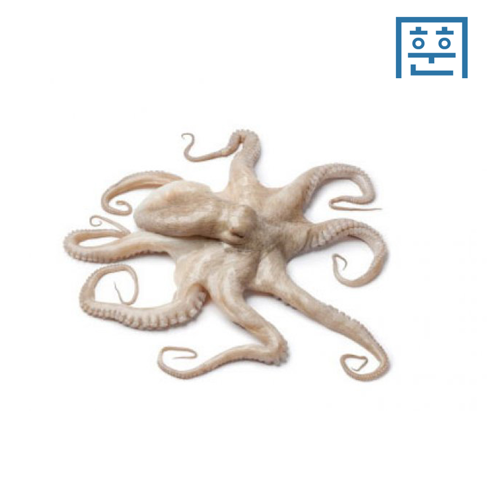 냉동 활낙지 850g - 상세 이미지 2