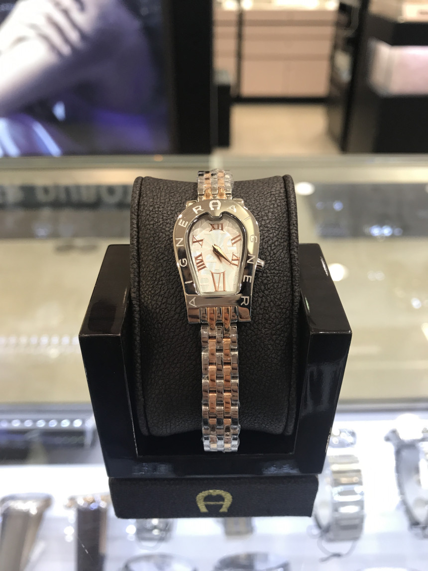 AIGNER Aigner Women's Watch A29342A