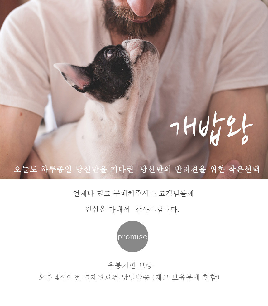 Puppy dog ​​dog large capacity fmart 100 piece tra