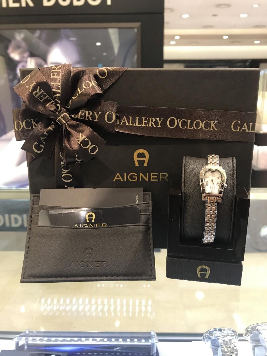 AIGNER Aigner Women's Watch A29342A