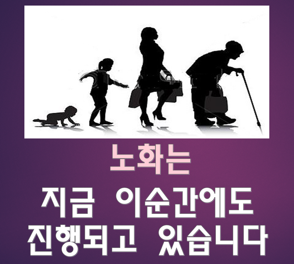 Low-molecular fish collagen powder fish powder fis