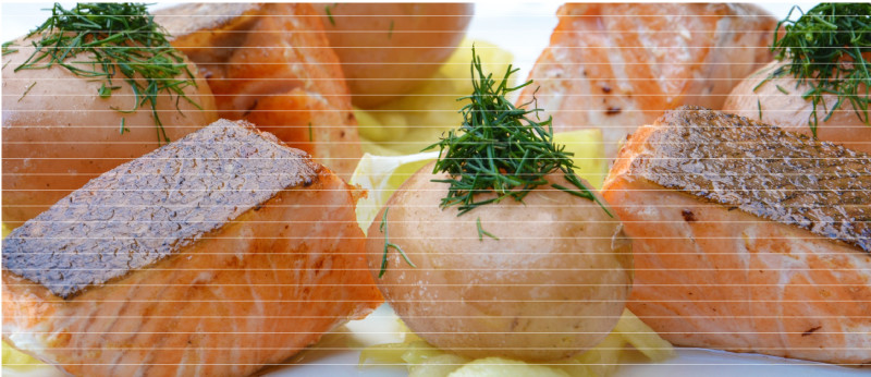 Mr Cook salmon cube 300g Puppy snack Recommended p