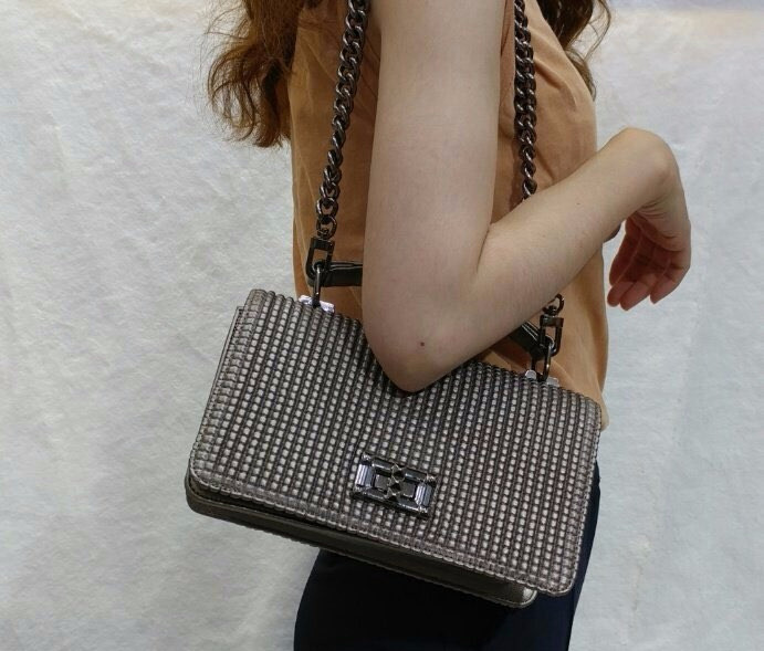 New Luge Chain Mini Cross Spaniel Shoulder Bag Dai