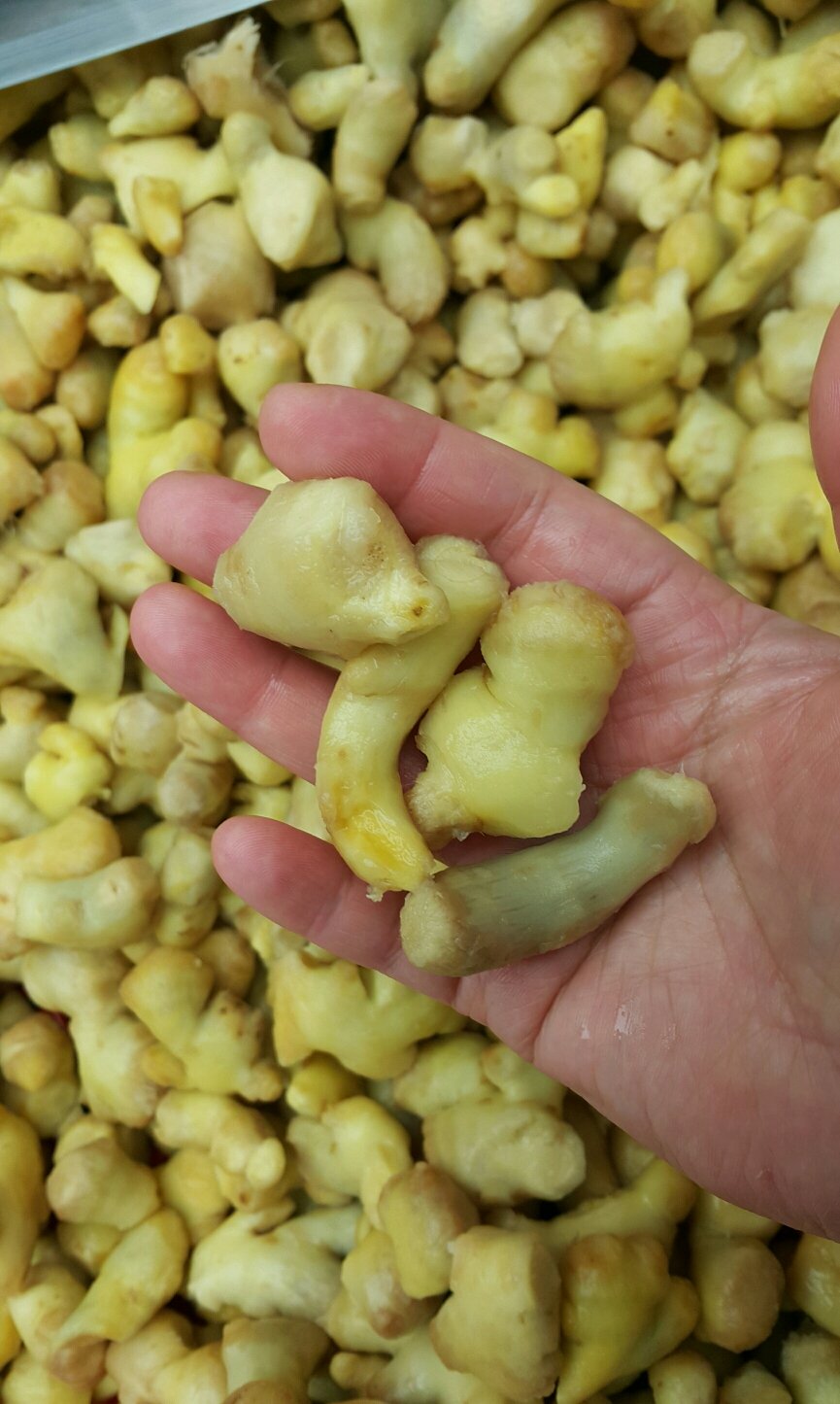 [생강청] 수제청 과일청 500g 1kg 답례품 감기예방 부모님선생님 명절 차 선물세트 - 상세 이미지 3