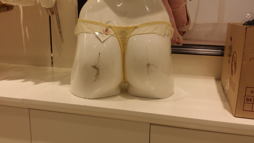 Women Underwear Wacoal T-Shirt WPT6250T YE