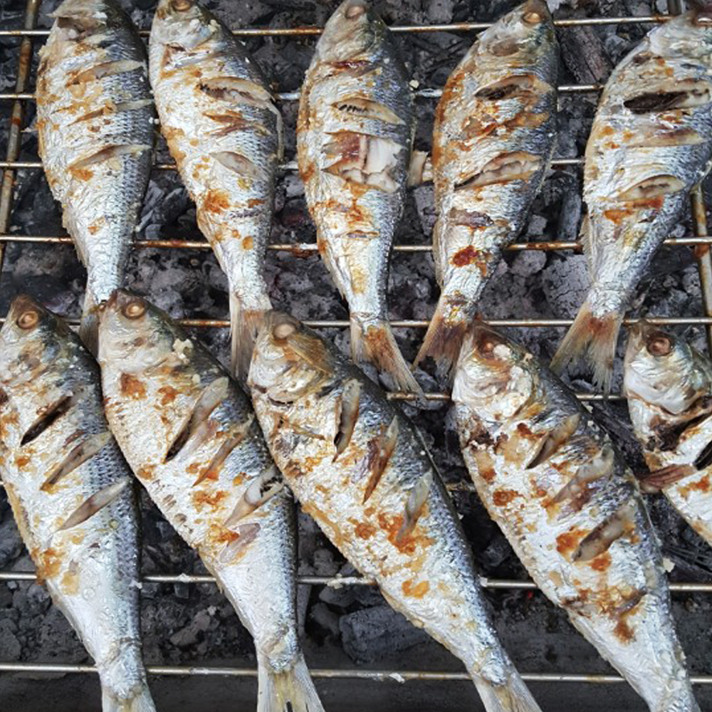 국내산 제철 활 전어 1kg(내장손질/전어회/구이용/초무침용 옵션 선택가능) - 상세 이미지 2