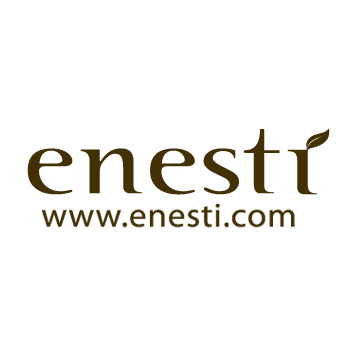 에네스티 스토어 로고