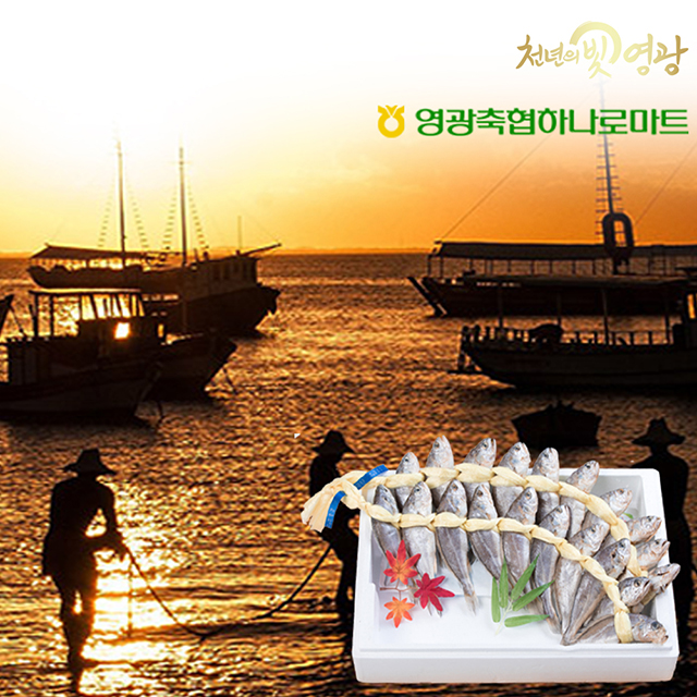 영광 법성포 굴비 선물세트 장대 1.4kg 1.6kg 1.8kg 영광축협 - 상세 이미지 2