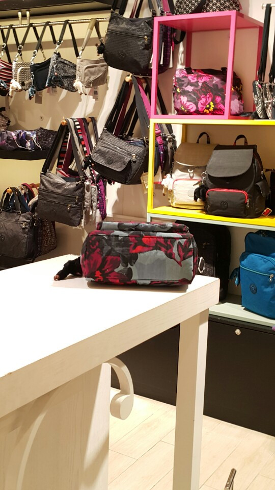 New Kiplingless Small Crossback KGDBS13