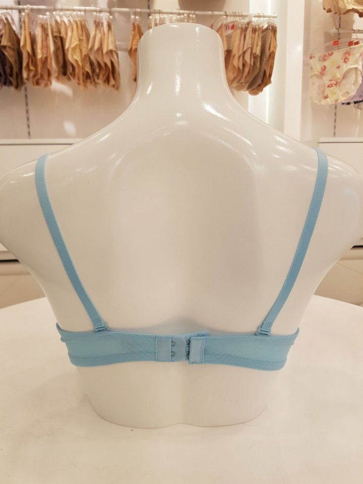 New Elle Innerwear Blue lace bra EPB2118