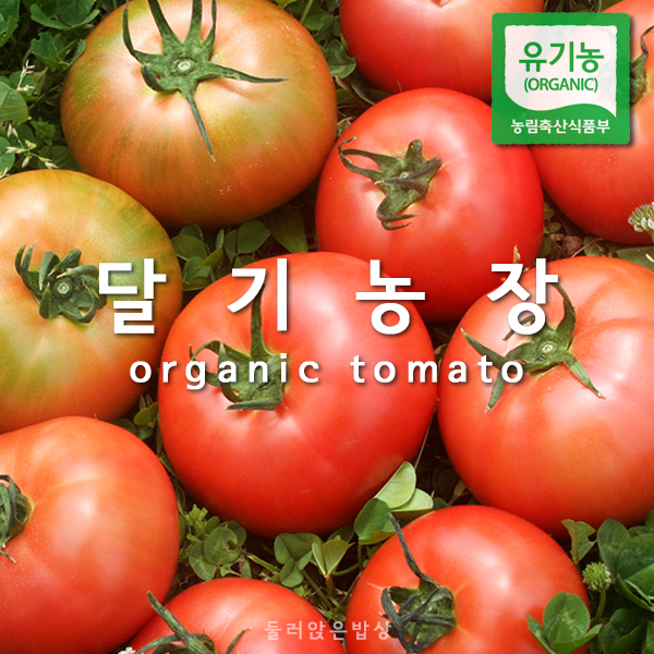 달기농장 유기농 무가당 토마토 착즙 주스 유기가공 해썹 맑은즙 - 상세 이미지 3