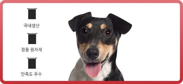 50 dog pet dog pet supplies recommended luxury dog