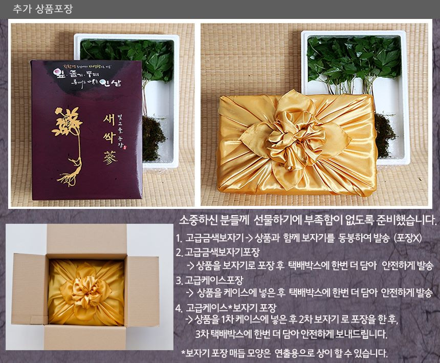 푸드윈도 : 네이버쇼핑 삼무루지 통째로먹는 인삼 새싹삼 100뿌리 새싹인삼