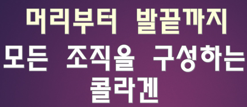 Low-molecular fish collagen powder fish powder fis