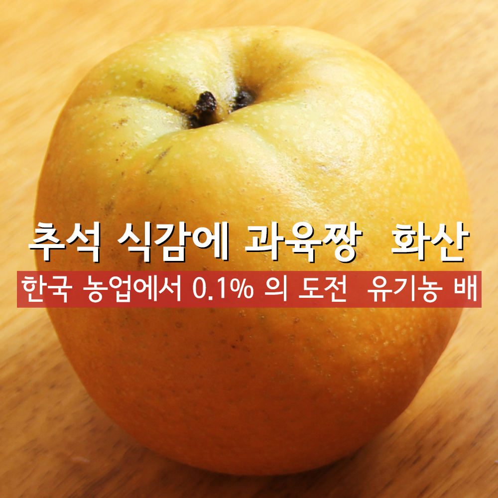 여섯시내고향 화성 열린농원 유기농 배 선물용 가정용 5k 원황 화산 신화 추황 신고 - 상세 이미지 3