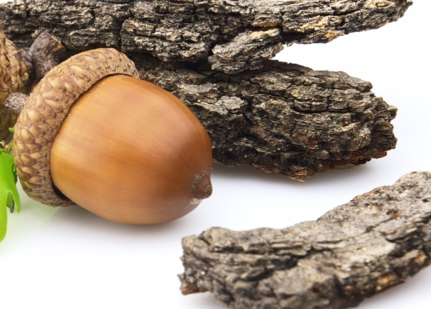 Greenhouse Feminine Feminine Cleanser 300ml Europe