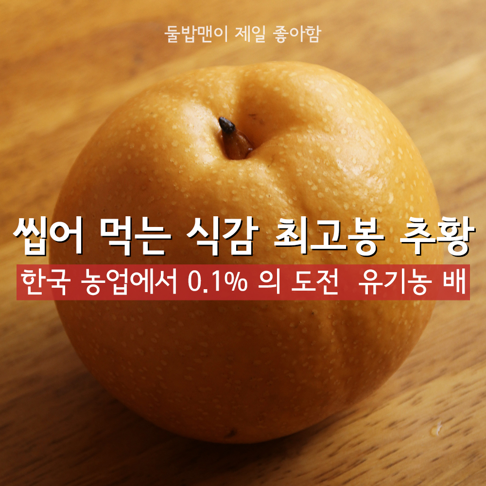 여섯시내고향 화성 열린농원 유기농 배 선물용 가정용 5k 원황 화산 신화 추황 신고 - 상세 이미지 2
