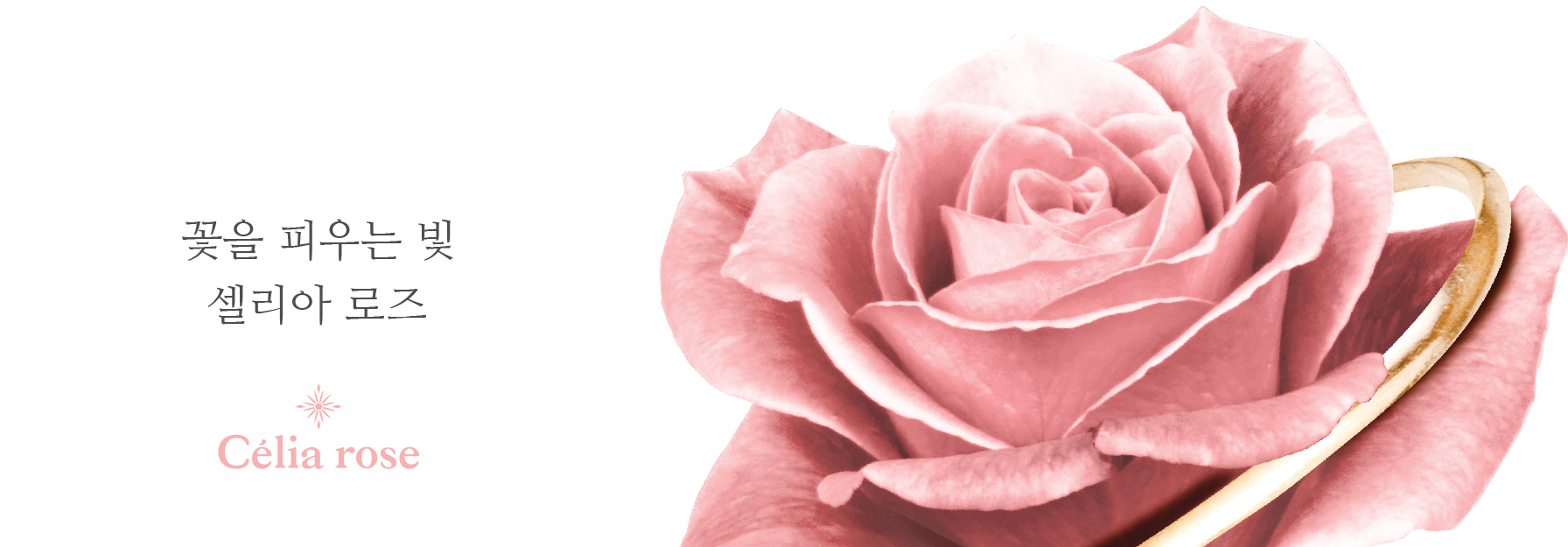 <b><p>14k thin gold earrg Twenties wom Mi Small</p></b><b><p>14k 薄い ゴールド イヤリング 20代の女性 ミニ 小さな 四季 シンプルな</p></b><br /><br /><p align='center'>