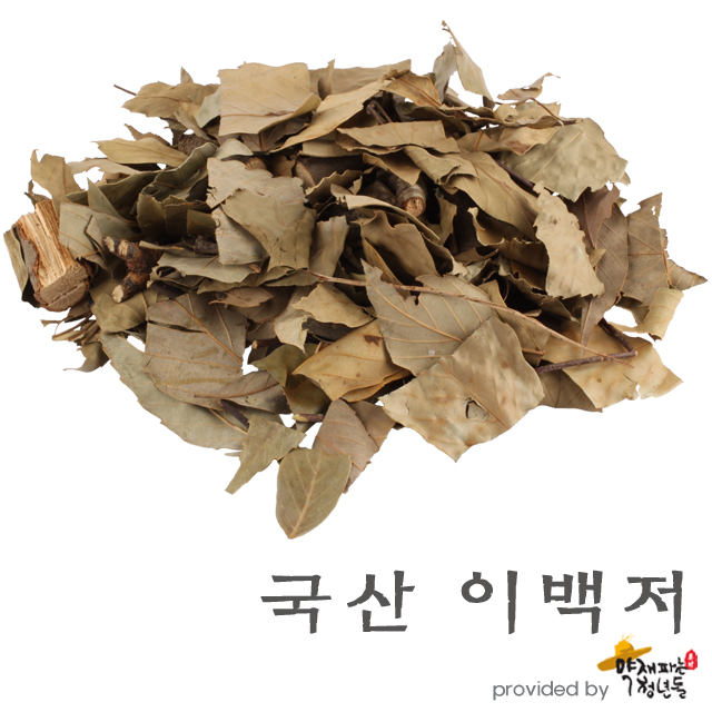 국산 참가시나무잎 600g - 상품 이미지