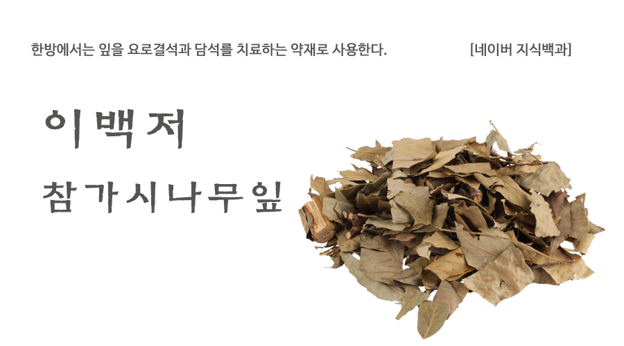 국산 참가시나무잎 600g - 상세 이미지 2