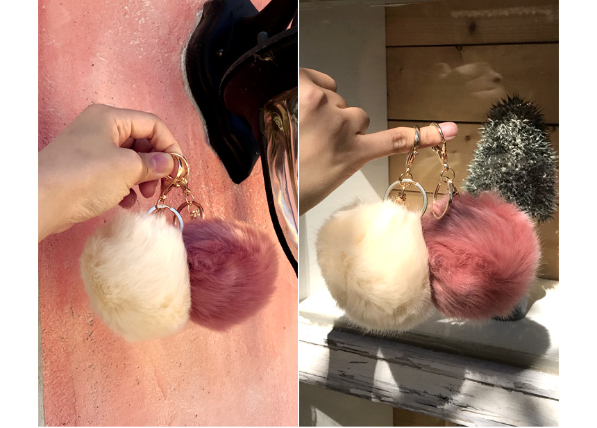 Rabbit hairdrops Pomfom is attracted by the fall o