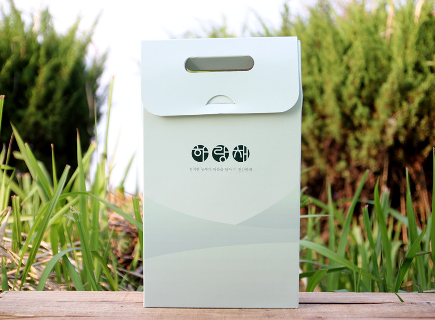 <b><p>Korean Pesticide-fe Soyb 100g, Trigular bag</p></b><b><p>韓国語 無農薬 ジャクヅコン茶 100グラム、 三角ティーバッグ 40介入 売り場</p></b><br /><br /><p align='center'>