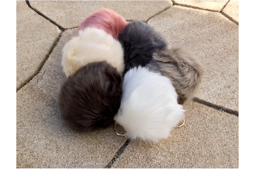 Rabbit hairdrops Pomfom is attracted by the fall o