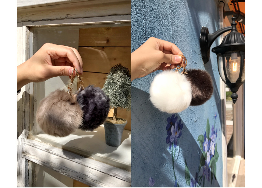 Rabbit hairdrops Pomfom is attracted by the fall o