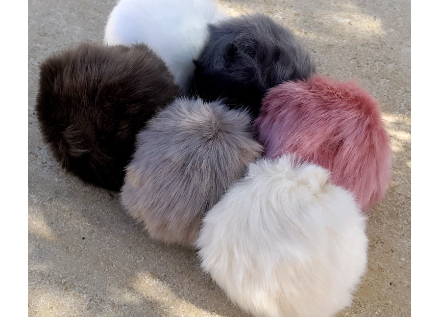 Rabbit hairdrops Pomfom is attracted by the fall o