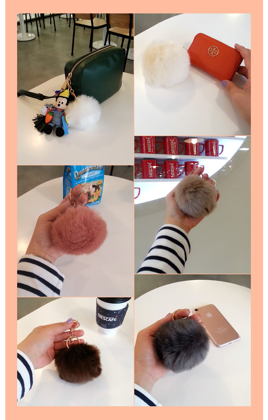 Rabbit hairdrops Pomfom is attracted by the fall o