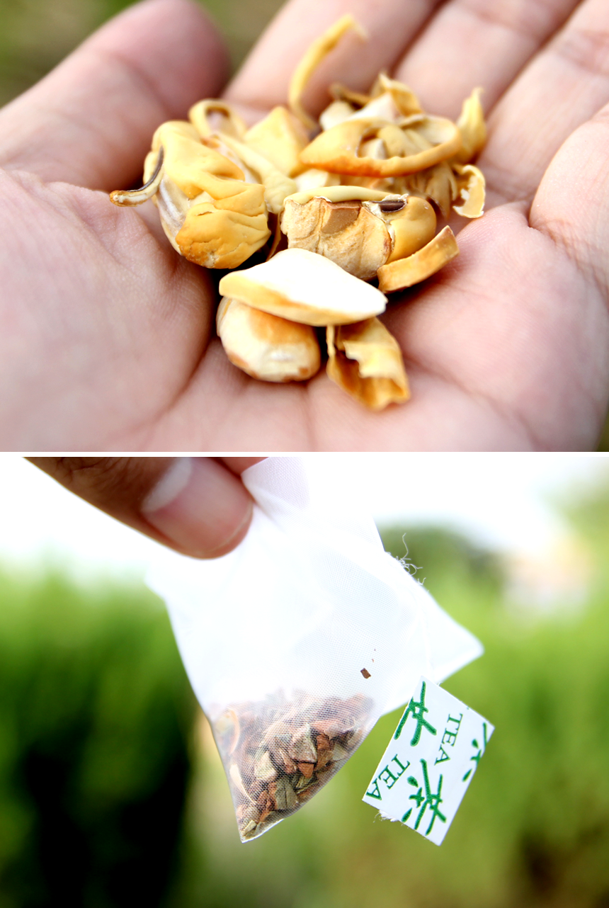 <b><p>Korean Eco Pesticide-fe Soyb 100g, Trigular</p></b><b><p>韓国語 環境に配慮し 無農薬 ジャクヅコン茶 100グラム、 三角ティーバッグ 40介入</p></b><br /><br /><p align='center'>