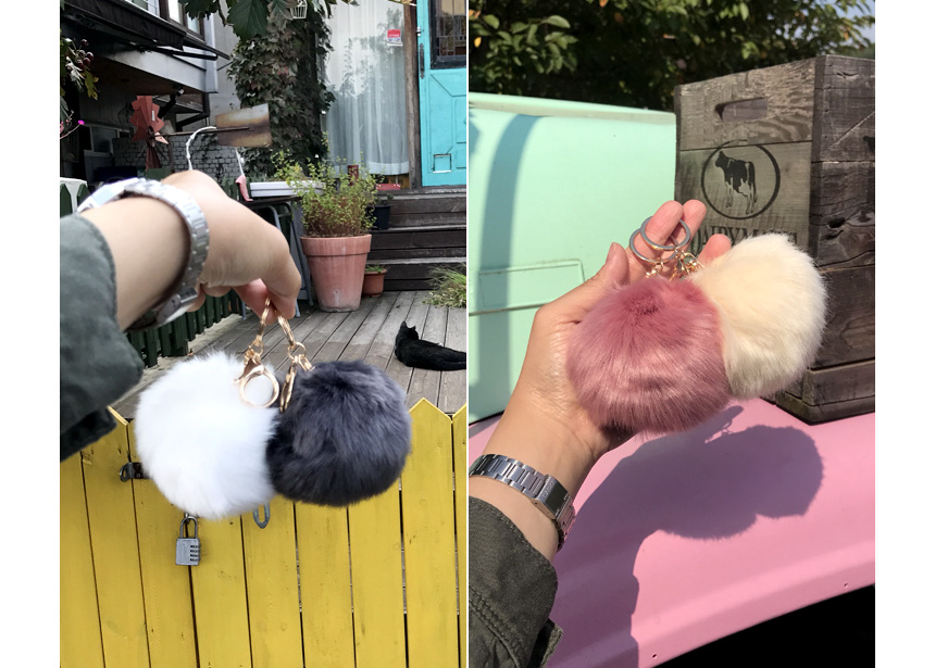 Rabbit hairdrops Pomfom is attracted by the fall o