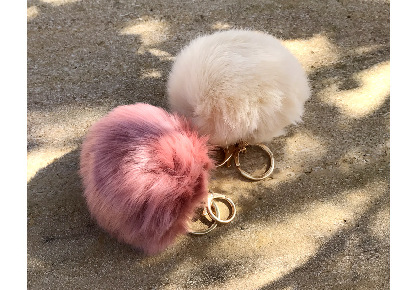 Rabbit hairdrops Pomfom is attracted by the fall o