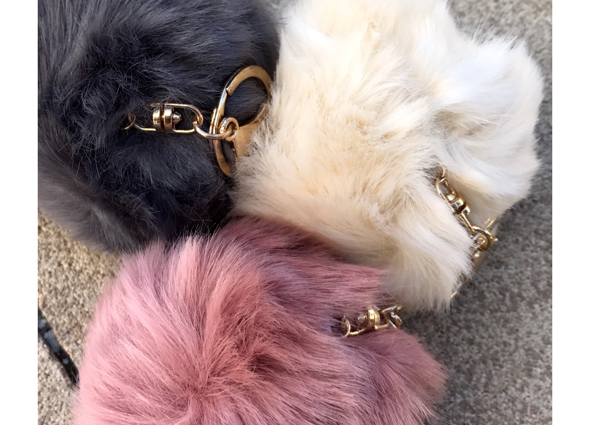 Rabbit hairdrops Pomfom is attracted by the fall o