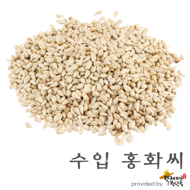 수입 홍화씨 600g - 상품 이미지