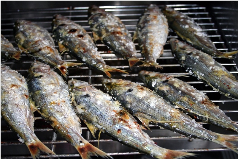 전어 구이용 1kg 가을전어 생선구이