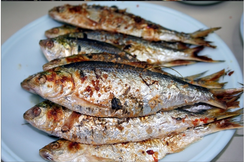 전어 구이용 1kg 가을전어 생선구이 - 상세 이미지 3