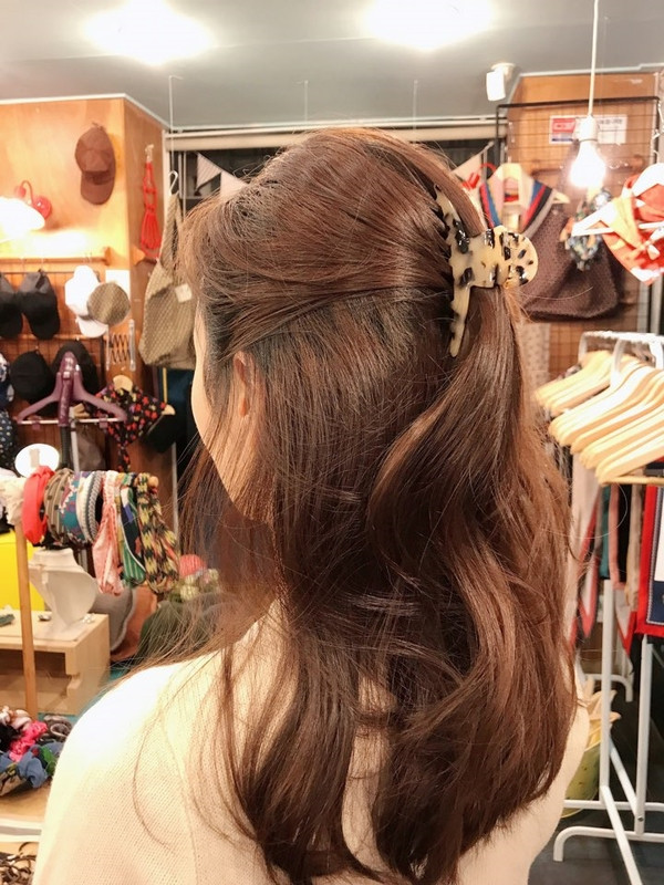 Hair Accessories France Pin Hopkin Tongs Hairpin H