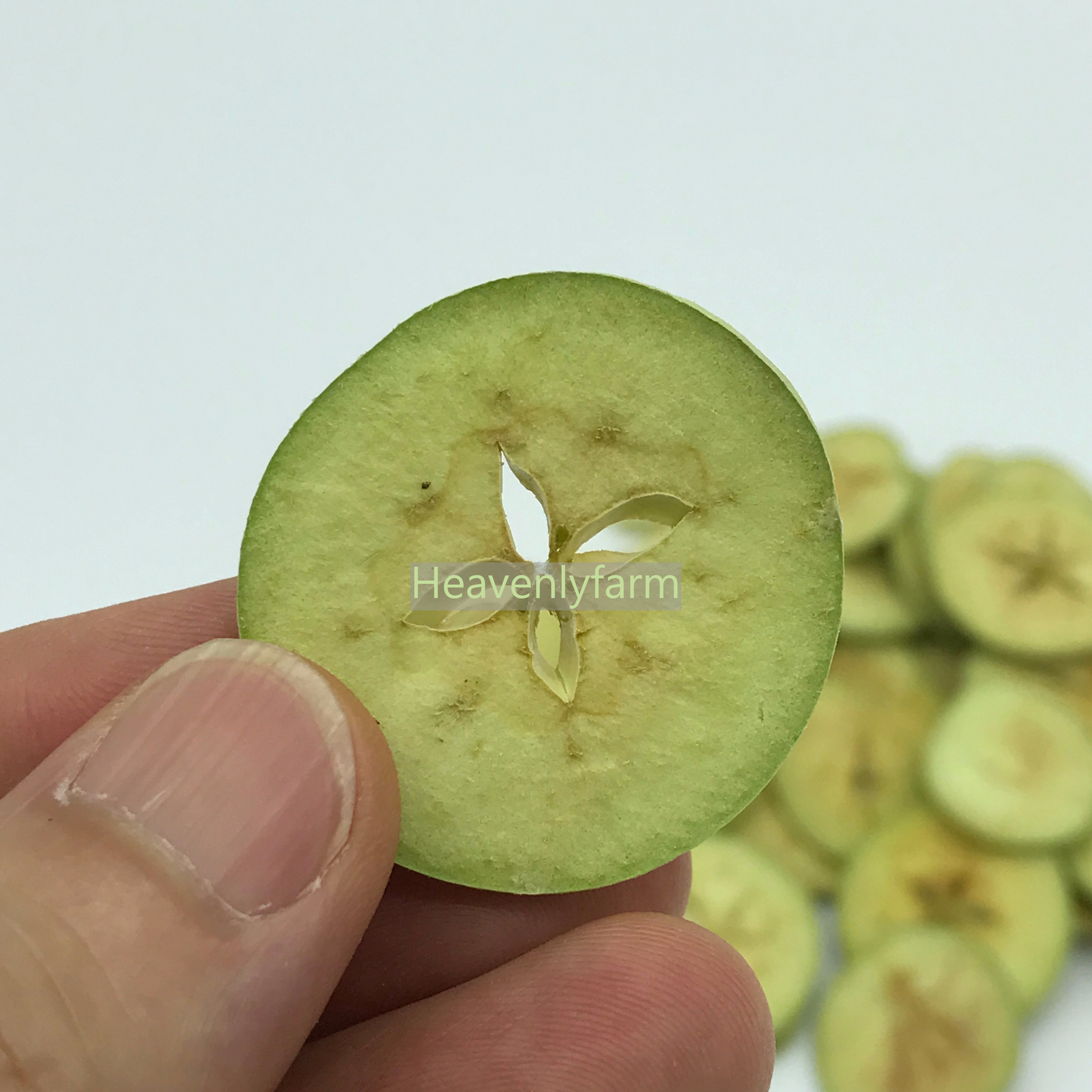 <b><p>Korean Pus powder 100% Feze-dried Domestic</p></b><b><p>韓国語 プトサグァ 粉末 100％ 凍結乾燥 国産 ダイエット</p></b><br /><br /><p align='center'>