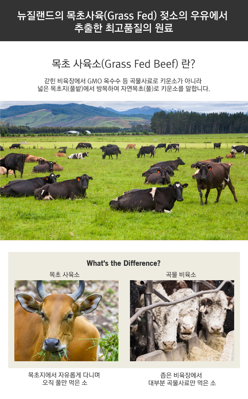 Musashi Bulk Extreme Protein Supplement 2.25kg Gay