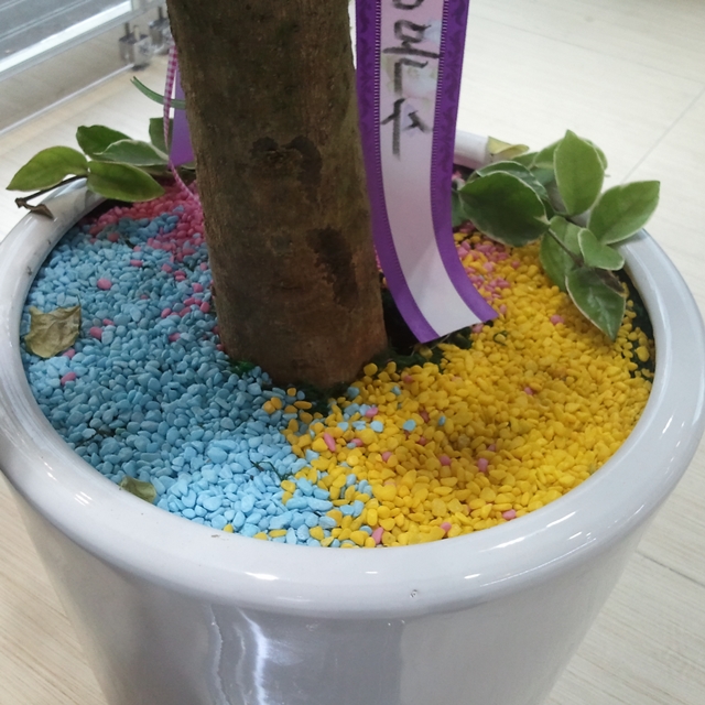 자갈공명 칼라스톤(색자갈)/컬러스톤 색돌 소포장1kg 이미지 2