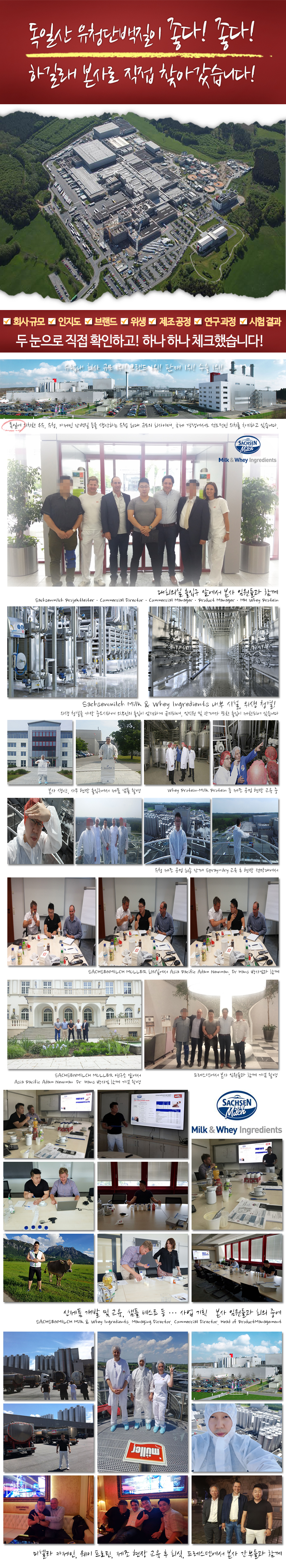 Bovine Whey Protein Health Supplement WPI WPH WPC 