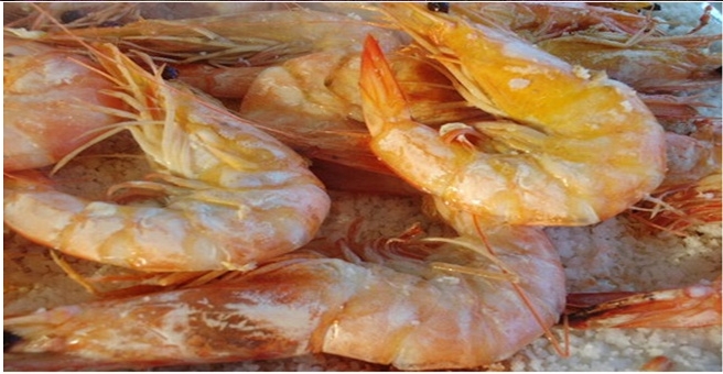 대하 왕새우 흰다리새우1kg 소금구이 대하구이 - 상세 이미지 3