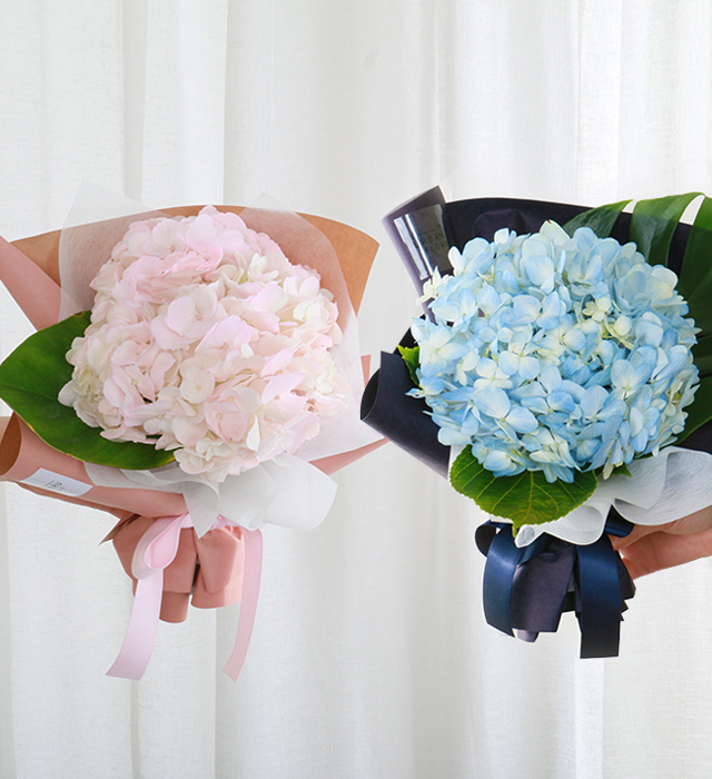 수국꽃다발 핑크 블루 생화 기념일 생일 축하 꽃배달 생화택배