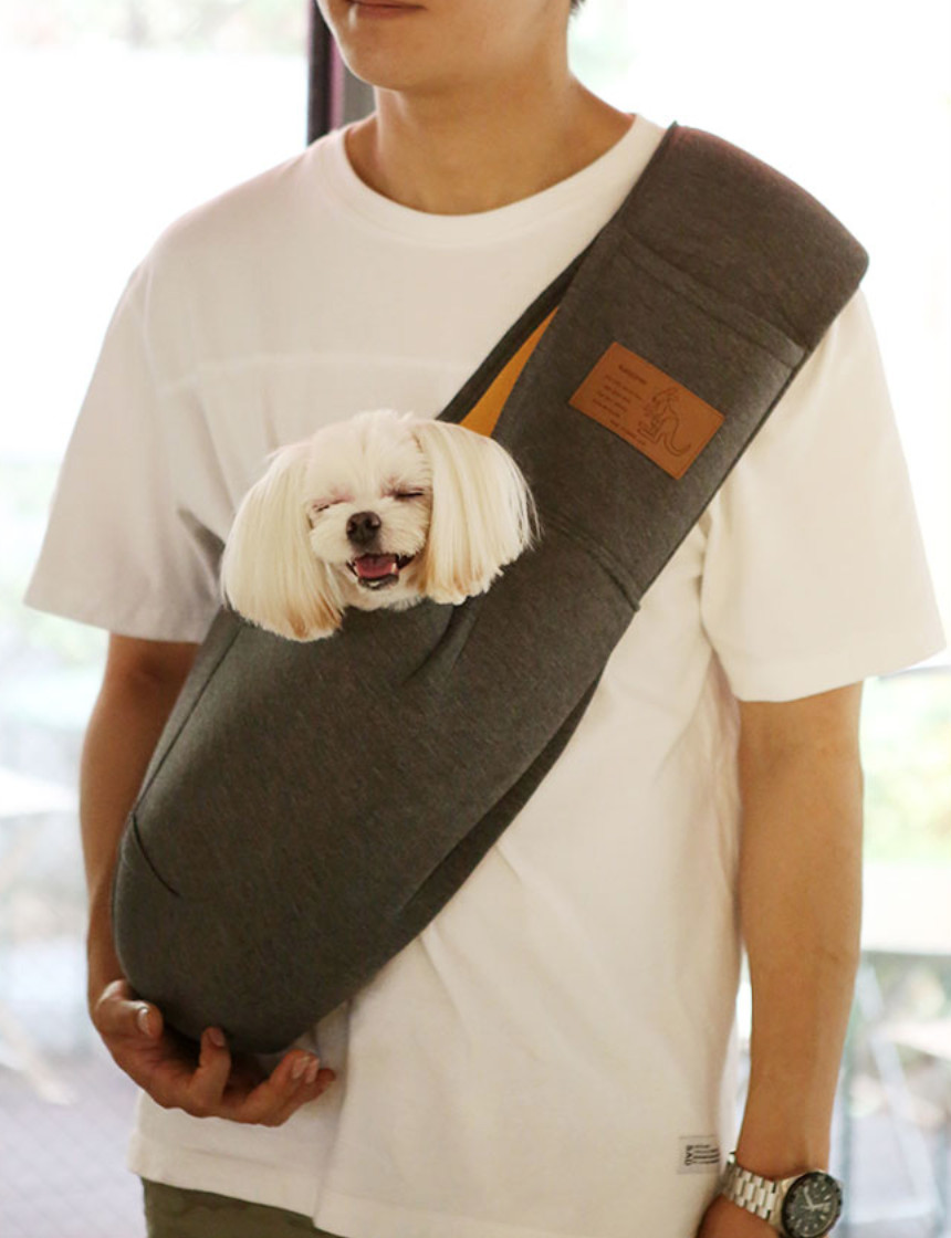 It's dog puppy Sling back Kangaroo Gray Dog mob